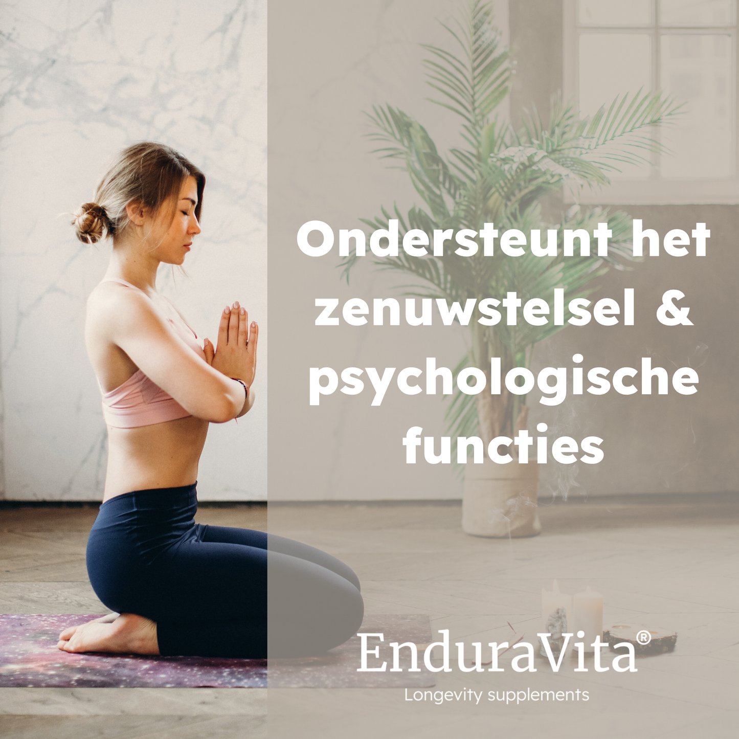 Magnesium L-threonaat supplement